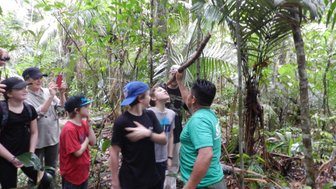 Eine Gruppe von Kindern und Erwachsenen erkundet den Amazonas-Regenwald, aufmerksam auf ihre Umgebung fokussiert.