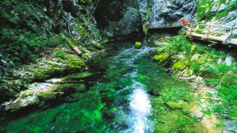 Ein klarer Fluss schlängelt sich durch eine grüne Schlucht, umgeben von hohen Felsen und üppiger Vegetation.