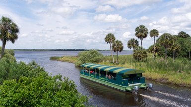 Ein grünes Boot fährt auf dem Myakka River, umgeben von üppiger Vegetation und Palmen unter einem bewölkten Himmel.