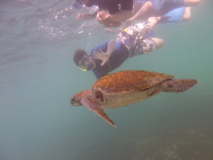 Ein Junge mit Schnorchel winkt fröhlich einer Meeresschildkröte zu, während sie gemeinsam im klaren Wasser schwimmen.