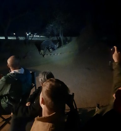 Eine Reisegruppe entdeckt mit einer Taschenlampe nachtaktive Tiere in der Dunkelheit - Namibia Rundreise mit Kindern