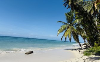 Ein ruhiger Strand mit feinem, hellem Sand, umgeben von hohen Palmen und klarem, türkisfarbenem Wasser.