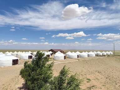 Eine weite Landschaft mit mehreren weißen Jurten, die unter einem strahlend blauen Himmel stehen, umgeben von sanften Hügeln.