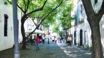 Eine belebte Straße in Santo Domingo, gesäumt von Bäumen, mit Menschen, die entspannt spazieren gehen und sich unterhalten.