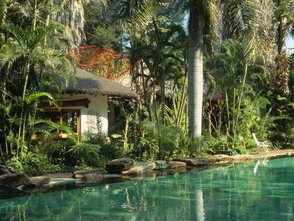 Ein ruhiger Pool umgeben von üppigem Grün und tropischen Pflanzen, ideal für Entspannung und Erholung.