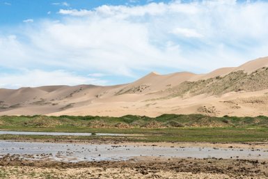 Eine weite Wüstenlandschaft mit sanften Sanddünen, die unter einem strahlend blauen Himmel liegen.