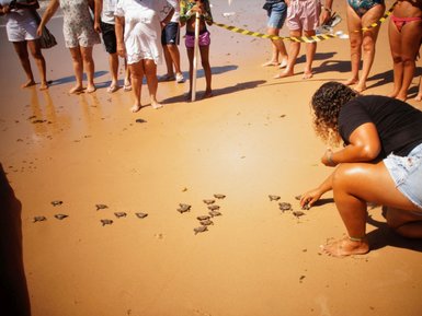 Eine Frau beugt sich über den Strand, um kleine Schildkröten zu schützen, während eine Gruppe Zuschauer zuschaut.