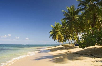 Ein ruhiger Strand mit feinem Sand, umgeben von hohen Palmen und klarem, blauem Wasser unter einem strahlend blauen Himmel.
