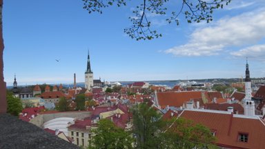 Ein Blick auf die Altstadt von Tallinn mit roten Dächern und historischen Türmen unter einem klaren blauen Himmel.