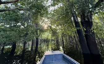 Inmitten dichter, grüner Bäume sieht man einen schmalen Wasserweg, der zur untergehenden Sonne führt.