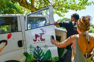 Tier wird im Jaguar Rescue Center bei Puerto Viejo de Talamanca transportiert – Costa Rica Familienreise