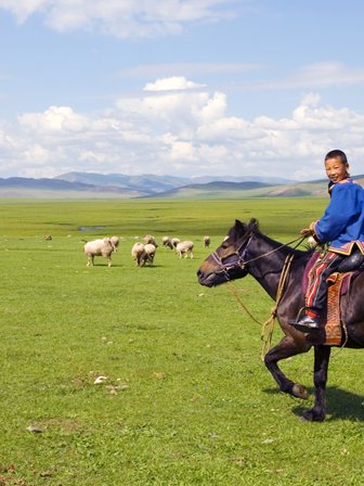 Ein fröhlicher Junge reitet auf einem schwarzen Pferd über eine grüne Wiese, umgeben von Schafen und Bergen im Hintergrund.