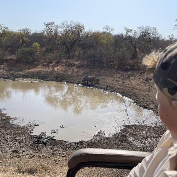 Nashörner am Wasserloch von Makutsi - Südafrika mit Kindern
