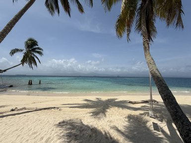 Ein wunderschöner Strand mit weißem Sand und sanftem Wasser, umgeben von Palmen unter einem klaren Himmel.