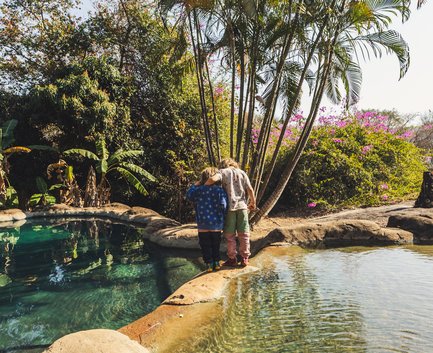 Kinder verbringen Zeit zusammen in der Gecko Lodge – Südafrika Familienreise