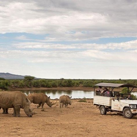Safari Mount Etjo - Namibia Familienurlaub