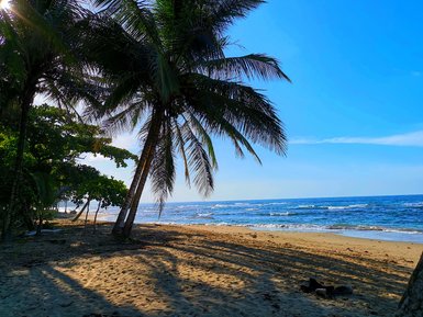 Tropische Palmen säumen den feinen Sandstrand an der Karibikküste in Cahuita – Costa Rica Reise mit Kindern