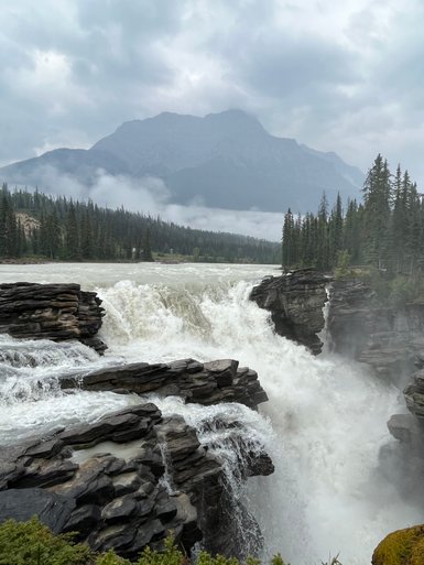 Der Athabasca Wasserfall stürzt kraftvoll über schroffe Felsen, umgeben von dichten, grünen Wäldern und majestätischen Bergen.