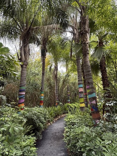 Ein Weg schlängelt sich durch einen lebhaften Garten, umgeben von hohen, bunten Palmen und üppigem Grün.