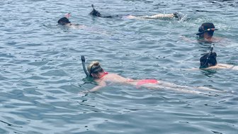 Eine Gruppe von Schnorchlern schwimmt in klarem Wasser, während sie die Unterwasserwelt erkunden.