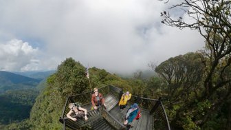Blick von oben auf die Holztreppe im Mossy Forest der Cameron Highlands – Malaysia & Borneo Familienreise