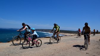 Eine Gruppe von Radfahrern genießt eine sonnige Tour entlang der Küste, mit dem Ozean im Hintergrund und klarem Himmel.