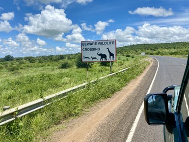 Ein Warnschild weist auf Wildtiere hin, die die Straße überqueren, umgeben von üppigem, grünem Gras und einem blauen Himmel.