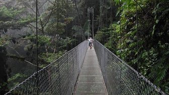Spaziergang über eine Hängebrücke im Regenwald von La Fortuna – Costa Rica Familienreise