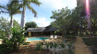 Ein einladender Poolbereich umgeben von üppigem Grün und Palmen, ideal für Entspannung und Erholung im Freien.