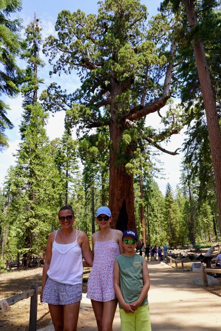 Drei Personen stehen lächelnd auf einem Waldweg im Yosemite-Nationalpark, umgeben von hohen, grünen Bäumen.