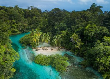 Eine atemberaubende tropische Landschaft mit klarem, türkisfarbenem Wasser und üppigem, grünem Dschungel umgeben von Palmen.