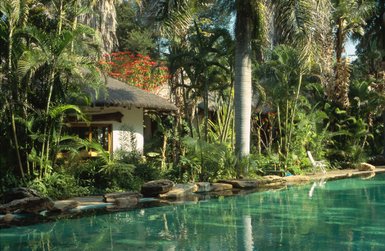 Ein ruhiger Pool umgeben von üppigem Grün und tropischen Pflanzen, ideal für Entspannung und Erholung.