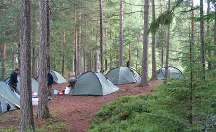 In einem dichten Wald stehen mehrere Zelte, während Menschen mit Campingutensilien beschäftigt sind.