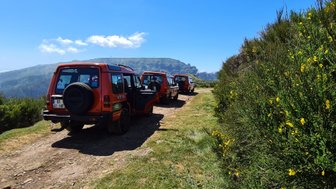 Drei orangefarbene Geländewagen stehen auf einem schmalen Weg, umgeben von grünen Wiesen und gelben Blumen.