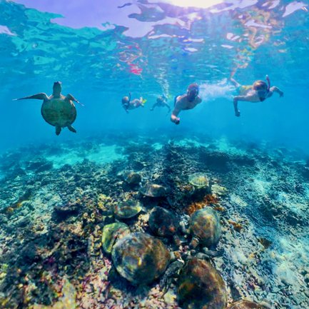 Familie schnorchelt unter Wasser bei den Daymaniyat Inseln – Oman mit Kindern