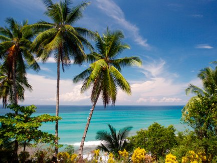 Sandstrand gesäumt von Palmen unter blauem Himmel – Costa Rica Familienreise