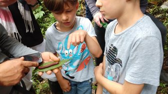 Zwei Kinder betrachten fasziniert ein großes, grünes Insekt, während ein Erwachsener ihnen dabei hilft.