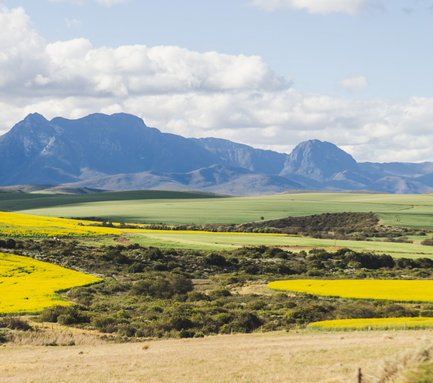 Weite grüne Wiesen auf der Skeiding Guest Farm – Südafrika mit Kindern