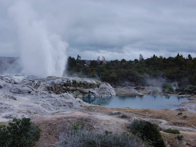Ein beeindruckender Geysir sprudelt in Rotorua, umgeben von dampfenden heißen Quellen und einer malerischen Landschaft.