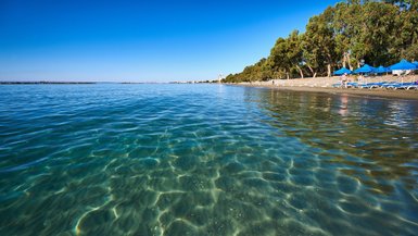 Ein ruhiger Strand in Limassol mit klarem Wasser und Sonnenschirmen, umgeben von üppigen Bäumen und einem blauen Himmel.