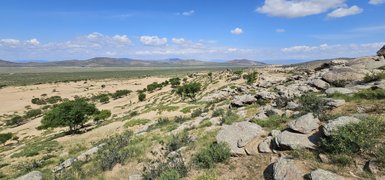 Eine weite Landschaft mit sanften Hügeln, bedeckt von grünem Gras und verstreuten Bäumen unter einem strahlend blauen Himmel.