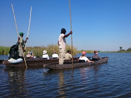 Eine Gruppe von Menschen paddelt in traditionellen Booten auf einem ruhigen Gewässer, umgeben von üppigem Schilf und klarem Himmel.