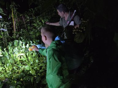 Bei Nacht erkunden ein Kind und ein Erwachsener dichtes Grün mit Taschenlampe, um die versteckten Elemente der Natur zu entdecken.