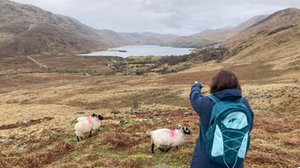 Eine Person mit einem Rucksack zeigt auf eine malerische Landschaft mit Schafen und einem ruhigen See im Hintergrund.