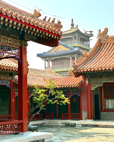 Ein traditionelles chinesisches Tempelgelände mit roten Gebäuden und kunstvollen Dächern, umgeben von einem ruhigen Innenhof.