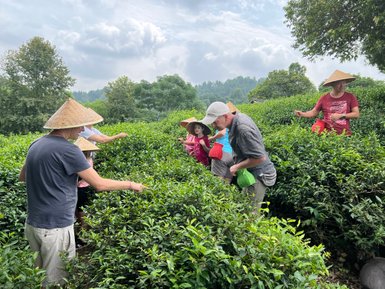 Familie erkundet gemeinsam die grünen Teeplantagen in der Umgebung von Guilin – China Familienreise