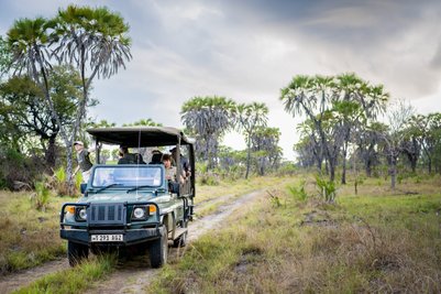 Eine Gruppe von Menschen sitzt in einem Geländewagen, umgeben von üppiger Vegetation und Palmen in der Savanne.