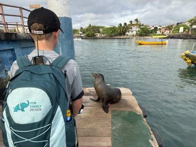 Ein Junge mit einem Rucksack beobachtet eine Seelöwin, die auf einem Steg am Wasser sitzt, umgeben von einer malerischen Kulisse.