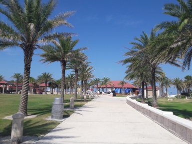 Eine sonnige Promenade gesäumt von Palmen, die zu einem Gebäude mit rotem Dach führt, unter einem strahlend blauen Himmel.