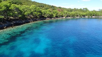 Ein klarer, blauer See umgeben von üppigem, grünem Wald und felsiger Küste, unter einem strahlend blauen Himmel.